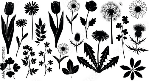 Spear, polearm, halberd, pike, medieval, silhouette, weapon, infantry, military, ancient, fantasy, vector, icon, combat, battle, Medieval weapon, spear silhouette, ancient polearm, infantry pike, halb