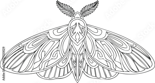 Hand drawn butterfly with intricate patterns on its wings, a beautiful illustration