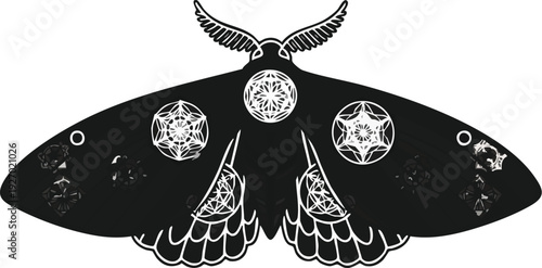 Hand drawn butterfly with intricate designs on wings, a necklace adorned with gems, in a minimalist style illustration