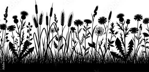 Agave plant and succulent illustration set, desert cactus garden, aloe vera greenery, botanical nature design, vintage engraving style vector, flora.