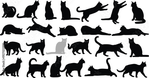 Cat silhouette collection with various poses and movements, black feline figures set, pet, animal, playful and domestic lifestyle concepts