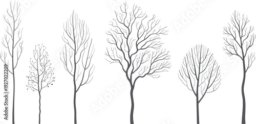 Bare winter trees silhouettes collection minimalist vector illustration for forest landscape nature design seasonal background clipart