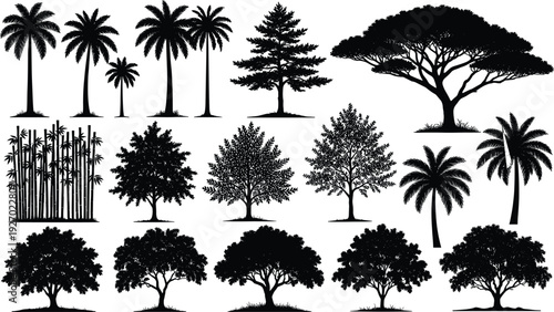 Collection of tropical and forest tree silhouettes, palm bamboo oak acacia trees set, black botanical nature illustrations isolated on white