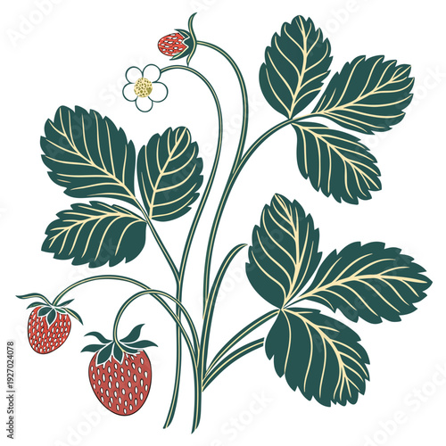 A strawberry plant with leaves and fruit