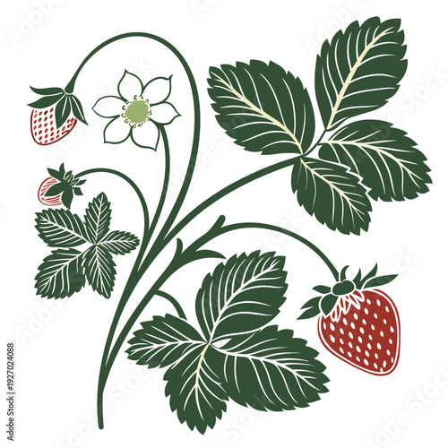Strawberry plant with ripe fruit and leaves
