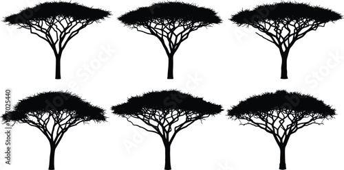 African acacia tree silhouettes collection, savanna landscape nature outline vector illustration set isolated on white background