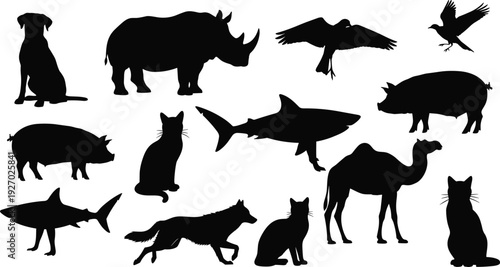 Animal silhouette collection with wild and domestic species, black vector illustration isolated on white background for design