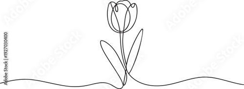 Tulip one line drawing. Abstract flower continuous line. Minimalist contour drawing of tulip. Continuous line drawing of flower tulip. one line Icon drawing