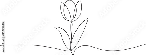Tulip one line drawing. Abstract flower continuous line. Minimalist contour drawing of tulip. Continuous line drawing of flower tulip. one line Icon drawing