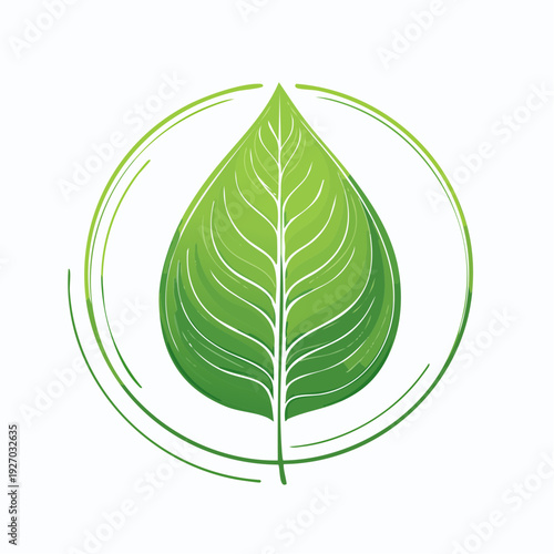 Elegant green leaf icon with abstract swirling lines, representing nature, organic health, and environmental consciousness