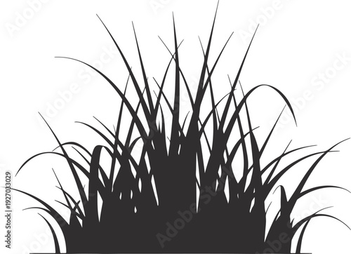 Fresh Green Grass Plant with Roots Isolated on White Background. Natural Meadow Turf Clump with Soil, Botanical Studio Shot