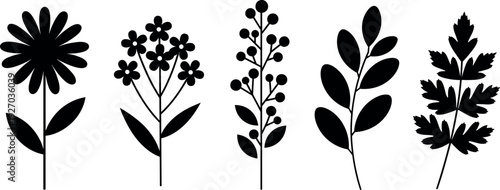 Gave me a title about this photo 'must have 20 word' for adobe stock with SEO maintain with comma

Gave me a keyword, 15 a word, 15 two word, 15 three word about this photo for adobe stock with SEO ma