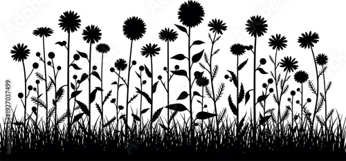 Gave me a title about this photo 'must have 20 word' for adobe stock with SEO maintain with comma

Gave me a keyword, 15 a word, 15 two word, 15 three word about this photo for adobe stock with SEO ma