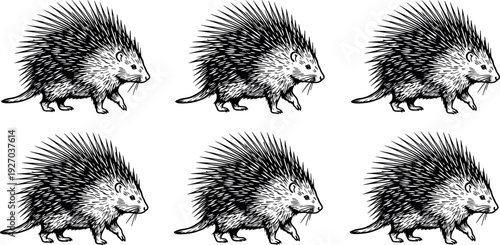 Gave me a title about this photo 'must have 20 word' for adobe stock with SEO maintain with comma

Gave me a keyword, 15 a word, 15 two word, 15 three word about this photo for adobe stock with SEO ma