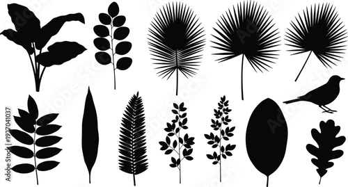 Tropical leaf silhouettes collection with palm fronds fern branches jungle foliage and bird icon for summer nature graphic design elements set
