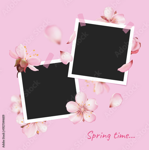 Spring Sakura Photo Frames Background
