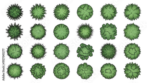 Shrub and Bush Symbols with Varied Textures Plan View Landscape Design Vector Set