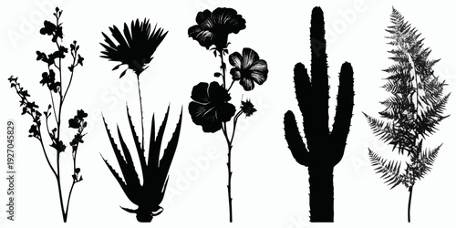 A collection of various plants and flowers in black and white silhouettes