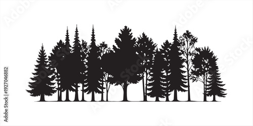 Pine tree silhouettes. Evergreen forest firs and spruces black shapes, wild nature trees templates. Vector illustration woodland trees set on white background