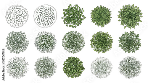 Assorted Garden Shrubs and Bushes Top View Texture Plan Vector Collection