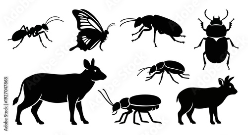 Diverse Animal and Insect Silhouettes Collection on White Background