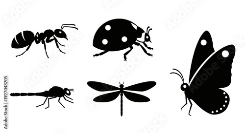 Insect Silhouettes Collection: Ant, Ladybug, Butterfly, Dragonfly, Mosquito Icons