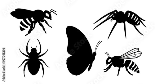 Insect Silhouettes Collection: Bee, Spider, Butterfly, and Wasp Vector Art