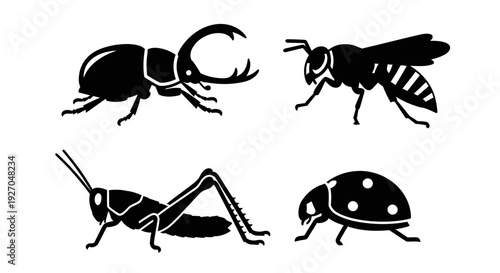 Insect Silhouettes Collection: Beetle, Wasp, Grasshopper, and Ladybug Graphic Set