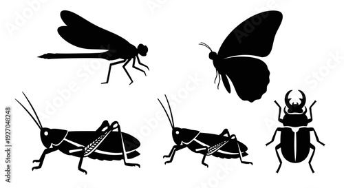 Insect Silhouettes Collection: Dragonfly, Butterfly, Grasshopper, and Beetle Set