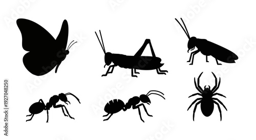 Insect Silhouettes Collection: Butterfly, Grasshopper, Ant, Cockroach, and Spider