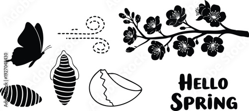Black silhouette butterfly flying near floral branch with blooming flowers cracked eggshells and text hello spring vector design