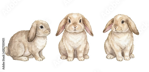 young girl with bicycle