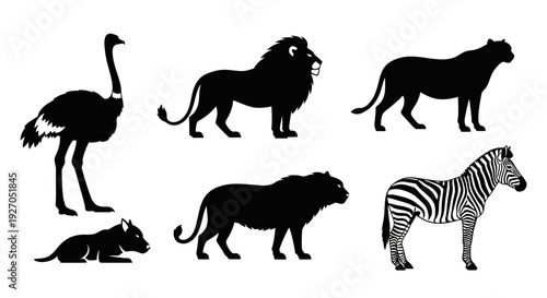 African Safari Animals Silhouettes Set: Lion, Ostrich, Zebra, and Wildebeest Collection