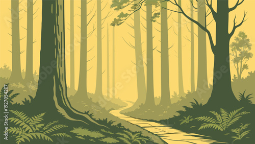 Forest path with trees and ferns woods