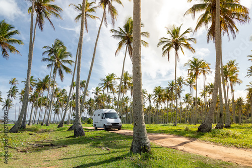 Camper vans parked in a tropical paradise surrounded by palm trees and open space on a sunny day