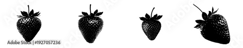 Elegant Silhouette of a Strawberry, Pure and Simple