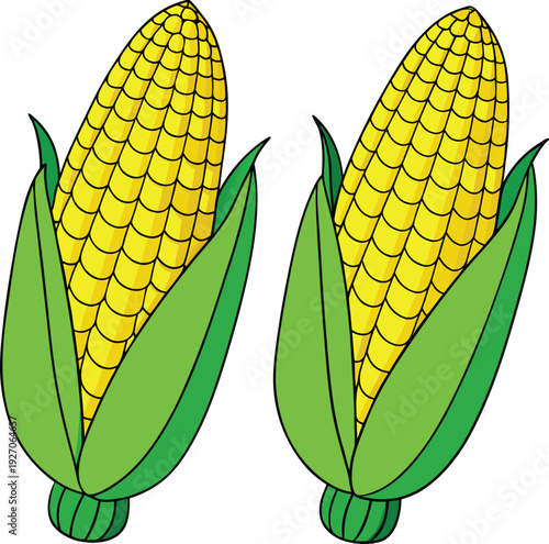 Two pairs of corn cobs are displayed on a white background. Each corn cob is bright yellow with rows of kernels and is partially enclosed in vibrant green husks. The left pair consists of two cobs, on