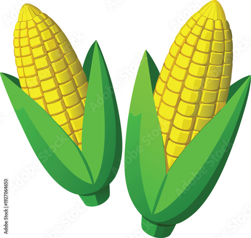 Two pairs of corn cobs are displayed on a white background. Each corn cob is bright yellow with rows of kernels and is partially enclosed in vibrant green husks. The left pair consists of two cobs, on