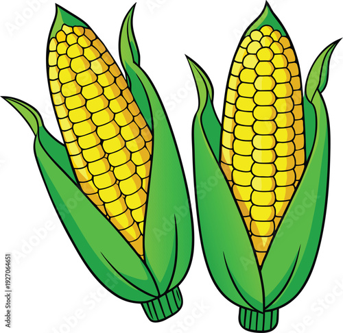 Two pairs of corn cobs are displayed on a white background. Each corn cob is bright yellow with rows of kernels and is partially enclosed in vibrant green husks. The left pair consists of two cobs, on
