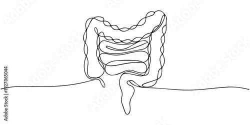 Digestive system continuous one line drawing