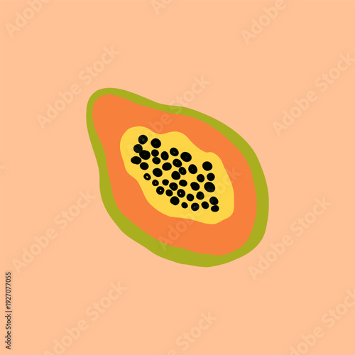 Tropical papaya fruit. Food illustration. Bright orange fruit.