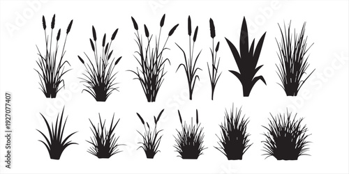 set of bush grass shrub herb silhouette vector transparent background eps 10