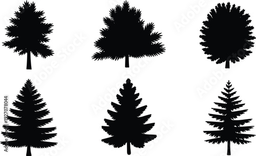Evergreen pine tree silhouette vector collection, black Christmas tree clipart, isolated forest tree illustration for nature, holiday, outdoor design