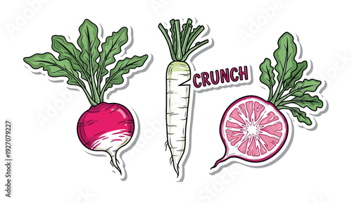 A stickers illustration of fresh vegetables including a radish, carrot, and beetroot with a speech bubble saying crunch