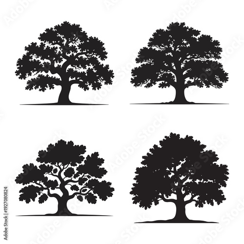 Oak tree silhouette collection with leafy crowns and thick trunk base