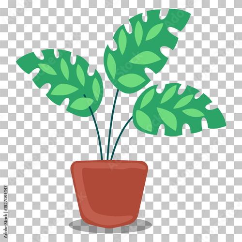 Green houseplant with large leaves in a brown terracotta pot on a transparent background.