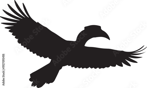 Hornbill flying in silhouette on white background.