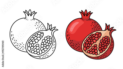 Pomegranates whole and halved showing red seeds and arils with a black and white outline version
