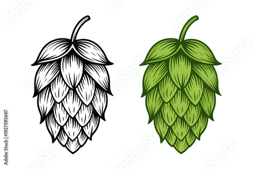 Stylized hop cones black and white line and green plant ingredient
