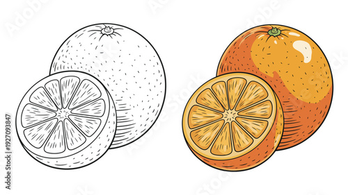 Whole oranges and sliced orange with vibrant orange pulp and rind fruit citrus